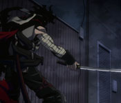 stain vs iida